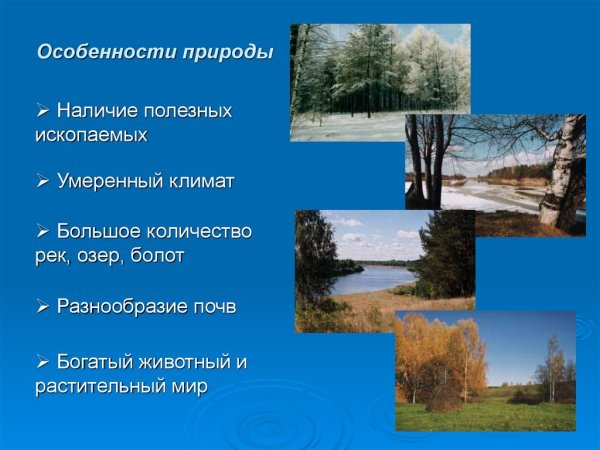 Разнообразие природы Нижегородского края