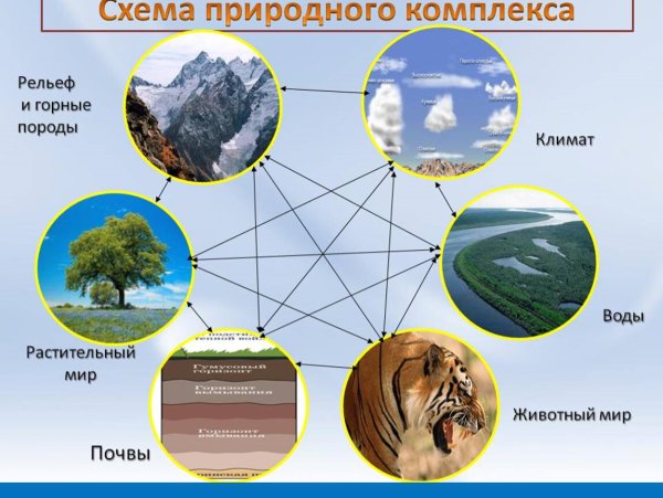 Схема природного территориального комплекса