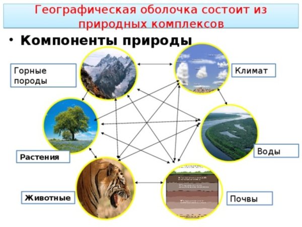 Природные компоненты