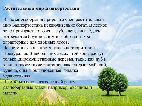 Растительный и животный мир Башкортостана
