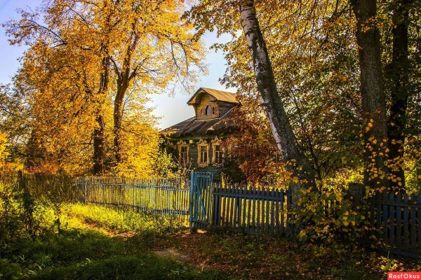 Избушка в лесу