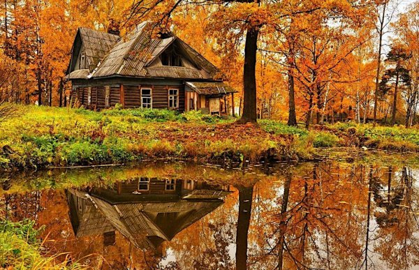 Природа деревня