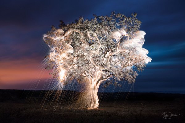 Фотограф Виктор Шиетти Vitor Schietti