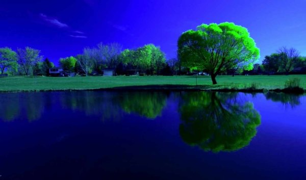 Синяя природа