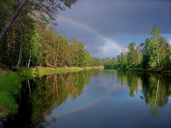 Природа ХМАО