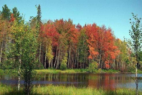 Заповедник Юганский в ХМАО-Югре