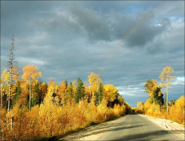 ХМАО Югра Сургут природа