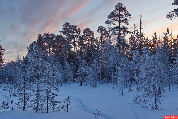 Западно Сибирская равнина ХМАО