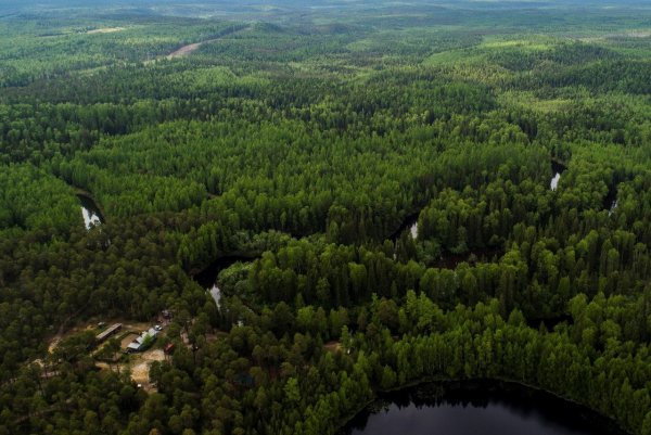 Заповедник малая Сосьва