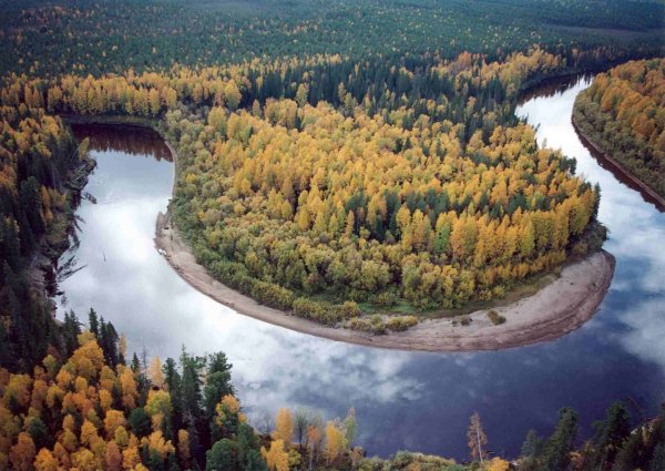 Югра картинки