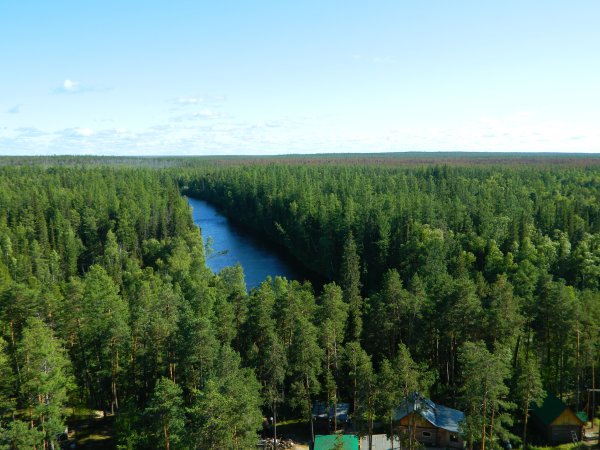 Природа Березовского района ХМАО
