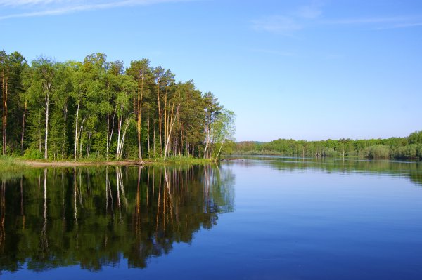 Юганский заповедник ХМАО