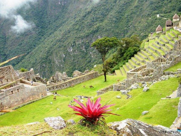 Заповедник Мачу Пикчу