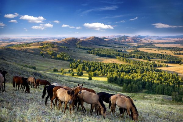 Красота Республики Башкортостан