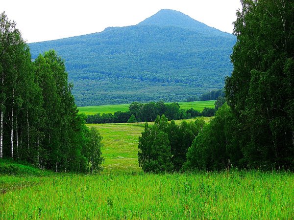 Башкирия луг