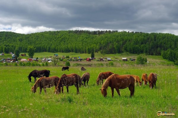 Башкирия деревни и села