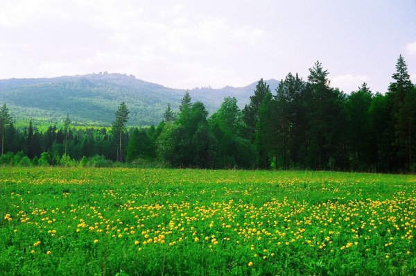 Луга Башкортостана