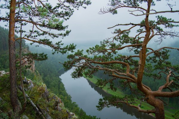 Степь Башкирия Хайбуллинский район