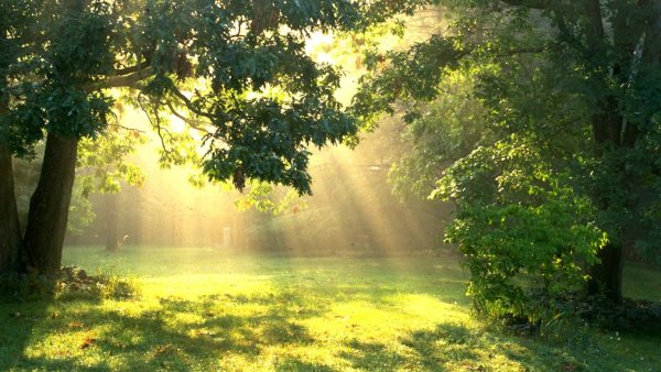 Норвегия зеленый природа поля горы