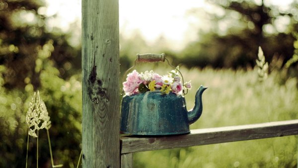 Природа Вдохновение