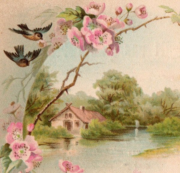 Старинные открытки природа