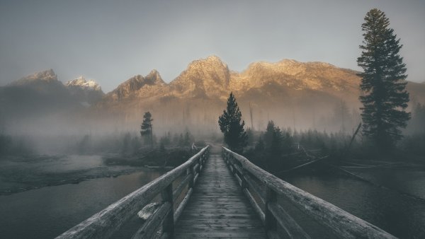 Счастье природа