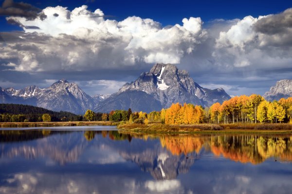 537x240 природа