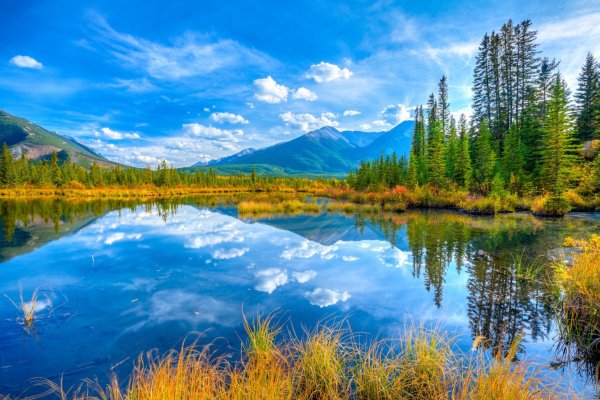 Пейзаж зелень
