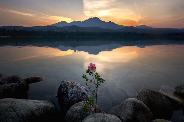 Спокойствие природа