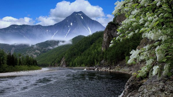 Дальний Восток Хабаровский край река Амур