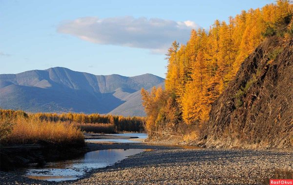 Река Амур Хабаровский край осень