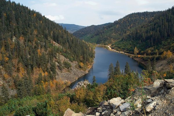 Амур озеро Хабаровский край