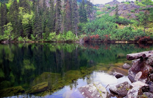 Озеро Амут Хабаровский край