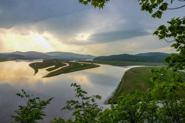 Комсомольский заповедник Хабаровский край