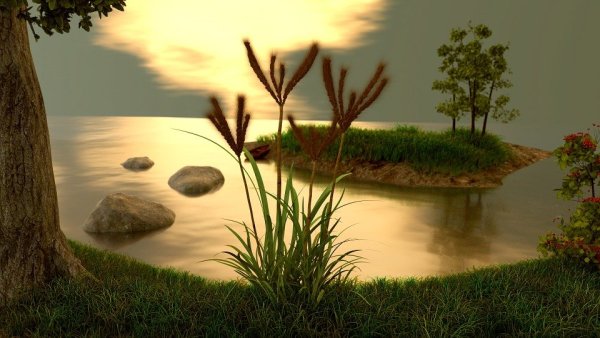 «Удивительная природа 3d»
