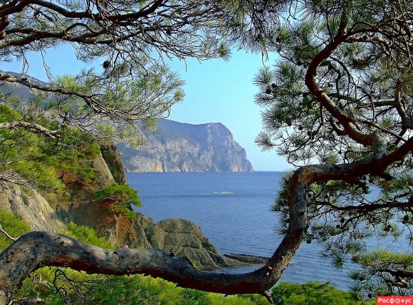 Крым море горы сосны мыс Айя