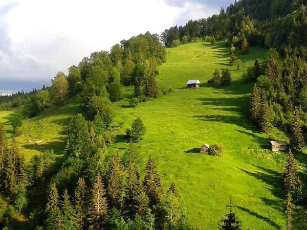 Венгрия ландшафт