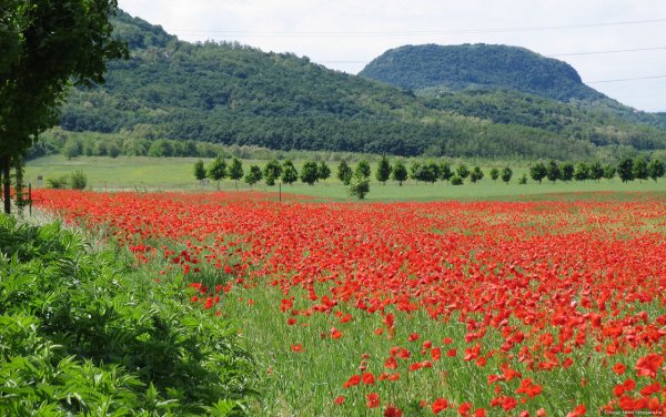 Венгрия ландшафт