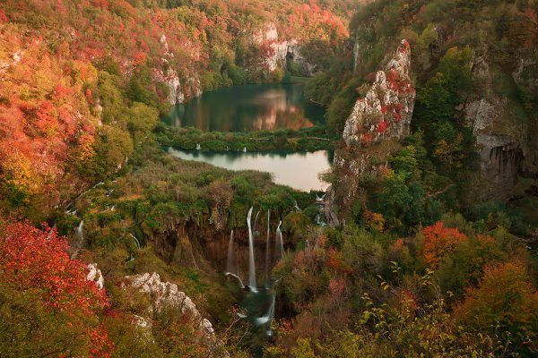Венгрия лес