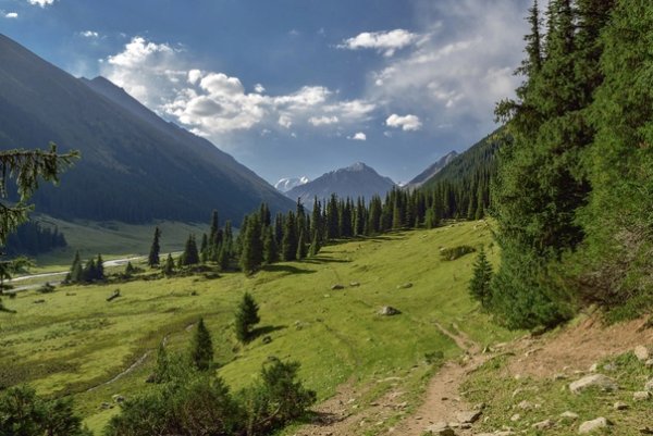Кыргызский пейзаж Аларча