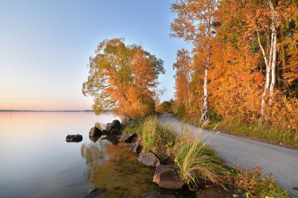 Плотинка осенью в Екатеринбурге