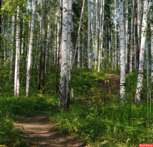 Тальков камень Сысерть