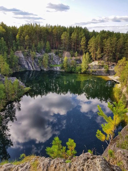 Лес Каменск Уральский