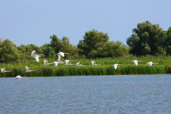 Астрахань местность