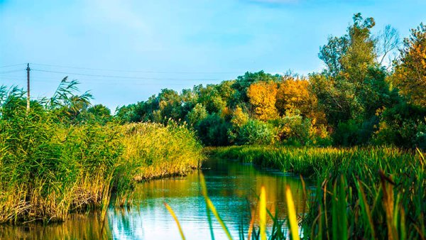 Лето в Астраханской области