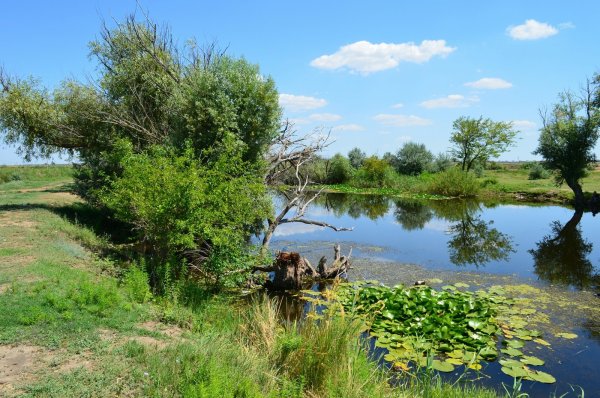 Астрахань Волга природа