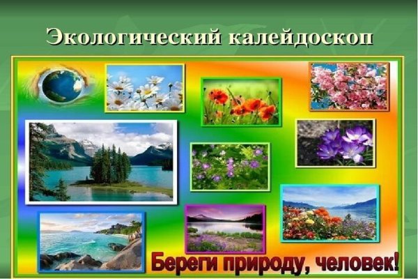 Экологический Калейдоскоп