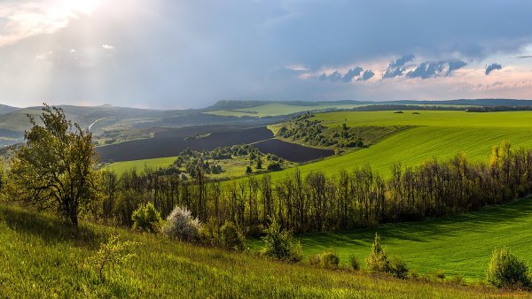 Луга Татарстана