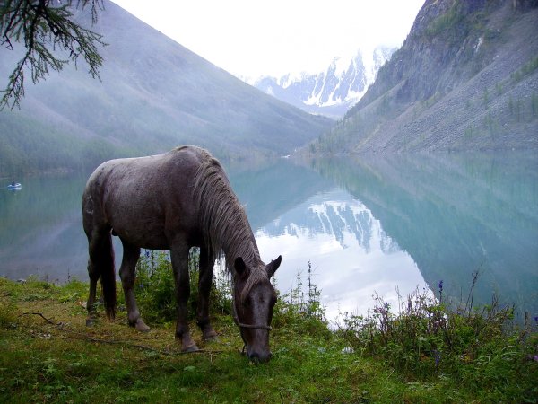 Тыва Кызыл природа