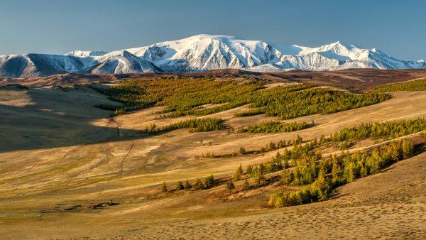 Убсунурская котловина Сибирская Тайга